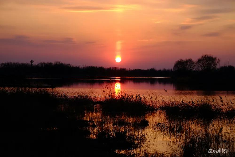 高清摄影 夕阳 湿地 自然风光 宁静 日落 夕阳下的湿地