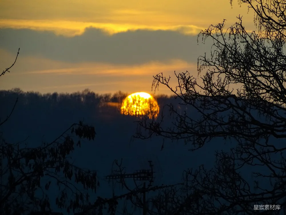 高清摄影 夕阳 树影 自然风光 宁静 风景 夕阳下的树影