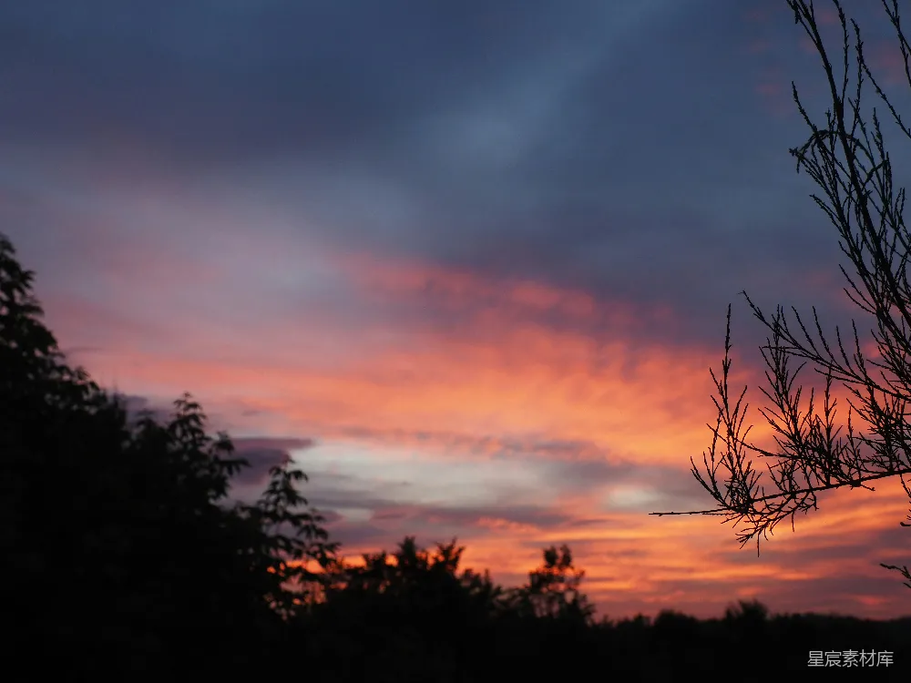 高清摄影 日落 自然风景 宁静 剪影 户外 夕阳下的树影