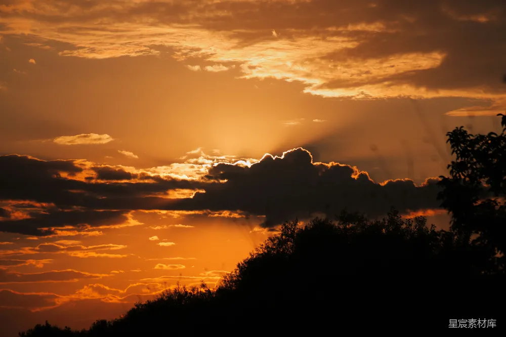 高清摄影 夕阳 云彩 树影 自然风光 宁静 夕阳下的云彩与树影