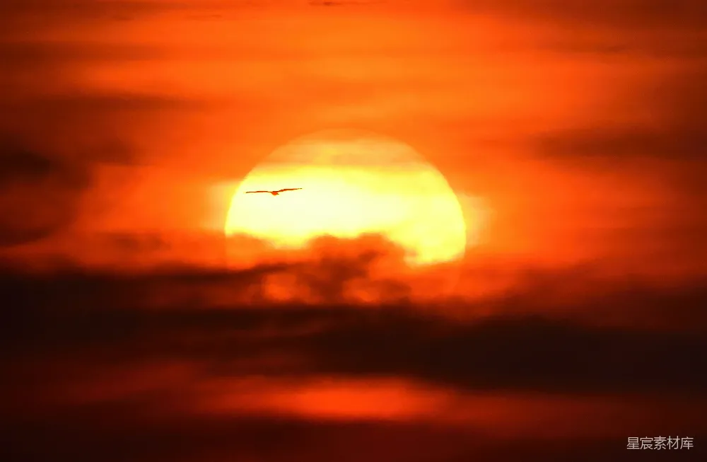 高清摄影 夕阳 鸟影 天空 自然 宁静 夕阳下的鸟影