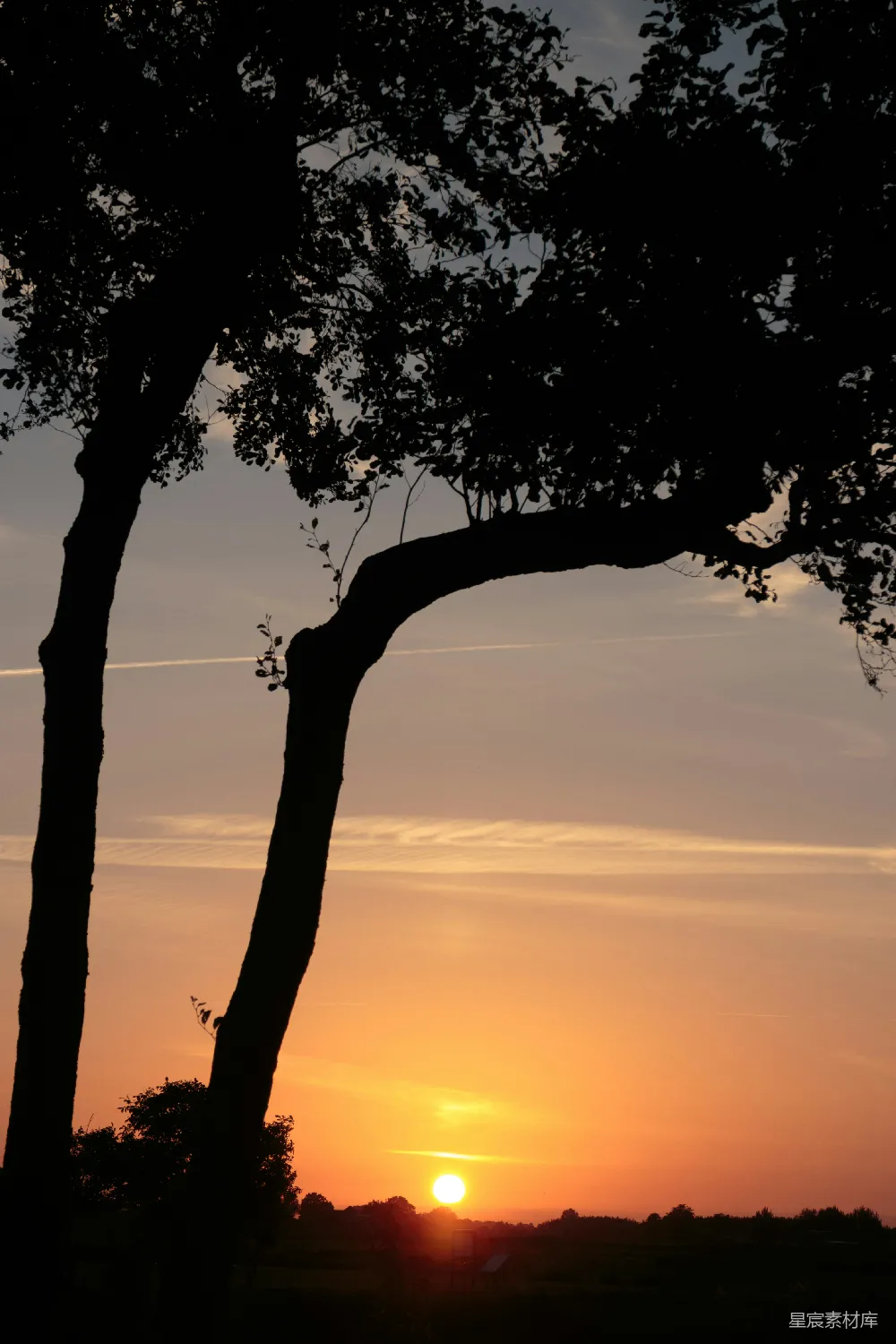 高清摄影 自然 宁静 日落 剪影 乡村 夕阳下的树影