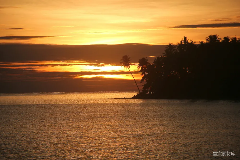 高清摄影 日落 热带风光 宁静 自然美景 海滩 夕阳下的椰子树