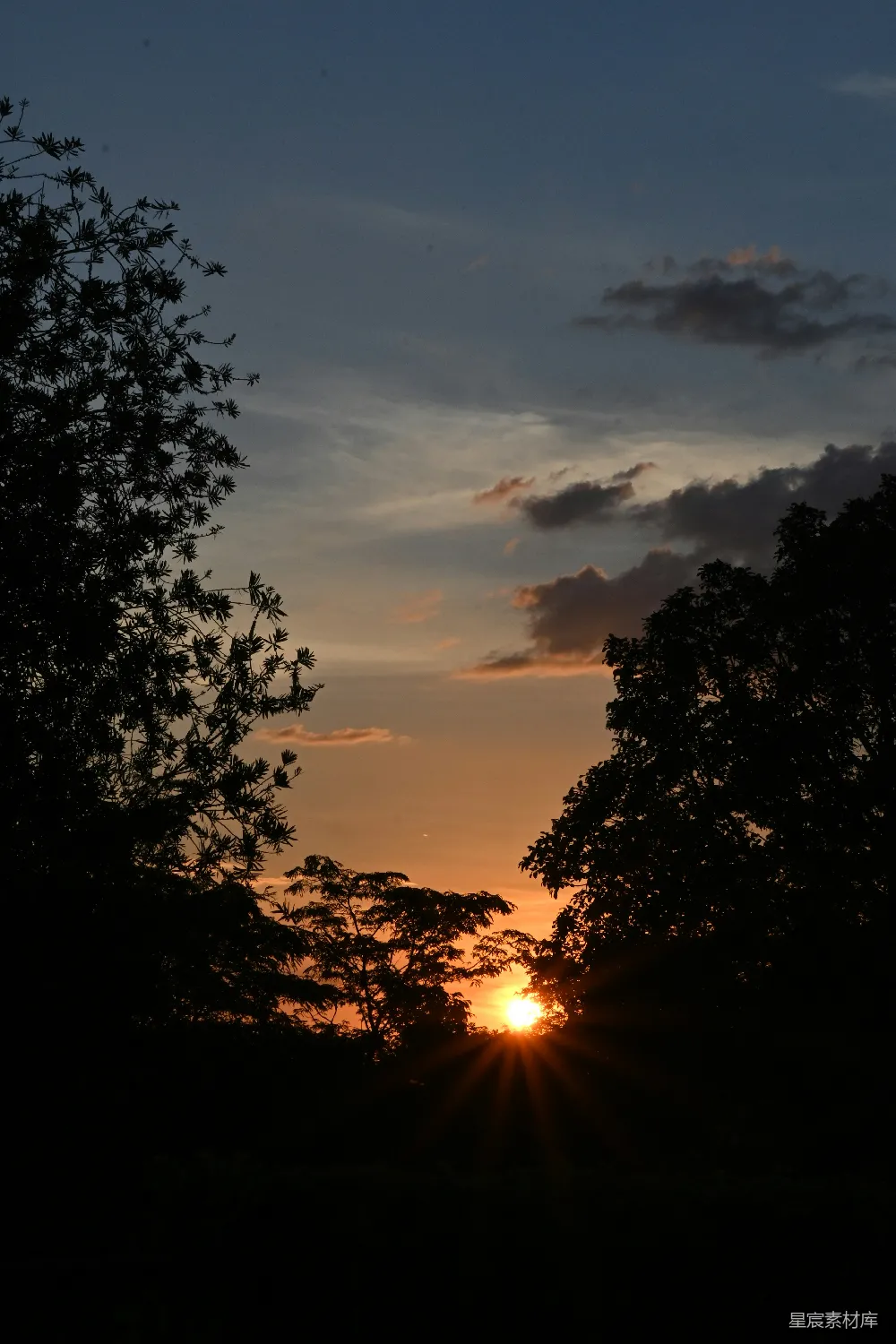 高清摄影 夕阳 树林 自然 宁静 黄昏 夕阳透过树林