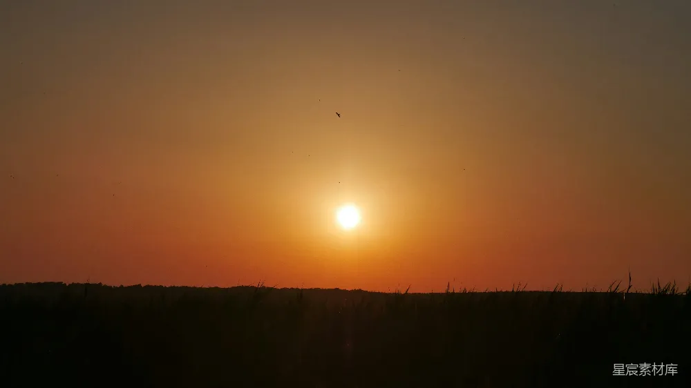 高清摄影 夕阳 田野 宁静 自然 黄昏 夕阳下的田野