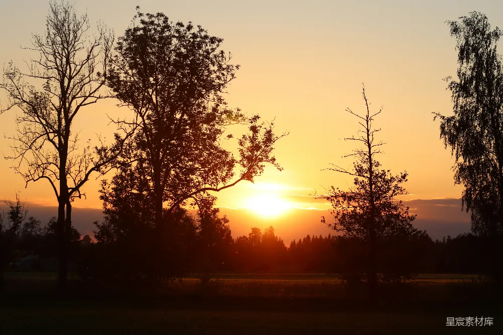 高清摄影 夕阳 树木 自然风光 宁静 乡村 夕阳下的树影