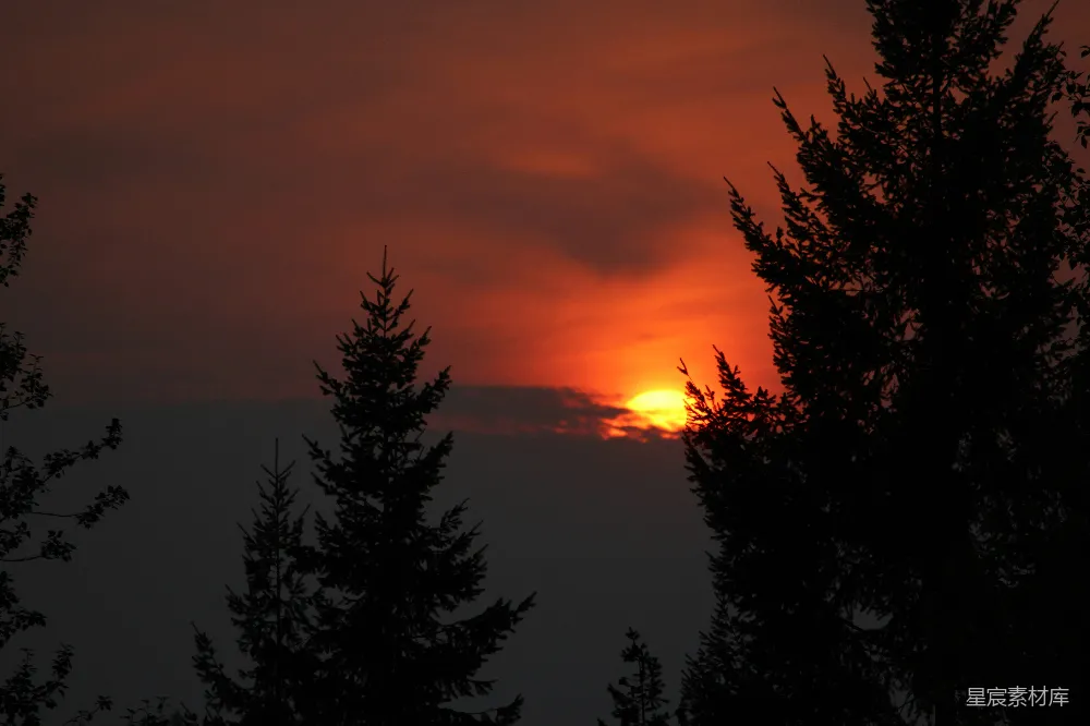 高清摄影 夕阳 树影 自然 宁静 风景 夕阳下的树影