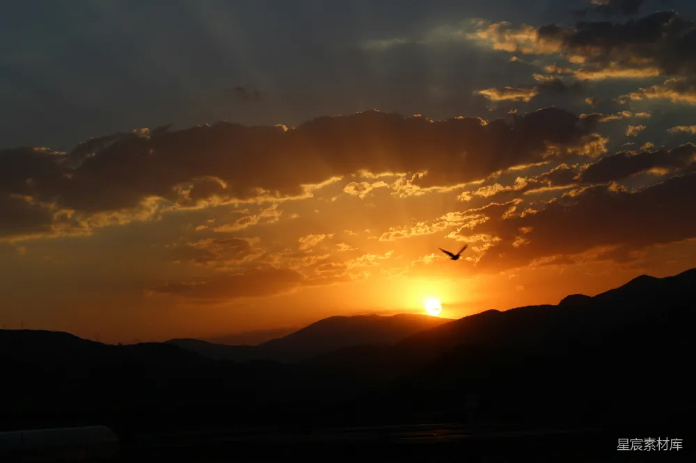 高清摄影 夕阳 飞行 自然美景 日落 天空 夕阳下的飞行