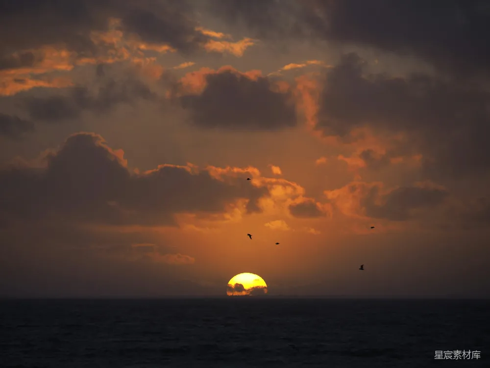 高清摄影 夕阳 海景 鸟群 自然风光 宁静 夕阳海景与飞翔的鸟