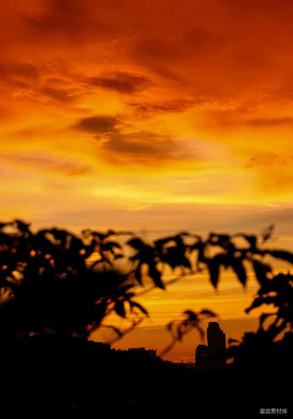 高清摄影 夕阳 城市 剪影 自然 风景 夕阳下的城市剪影
