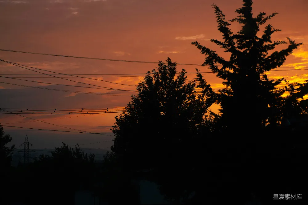 高清摄影 夕阳 剪影 电线 树木 自然 夕阳下的电线和树木剪影