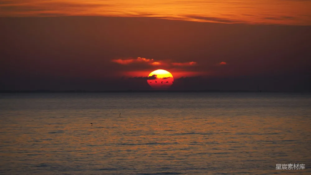 高清摄影 夕阳 海景 自然 宁静 日落 海平面上的夕阳