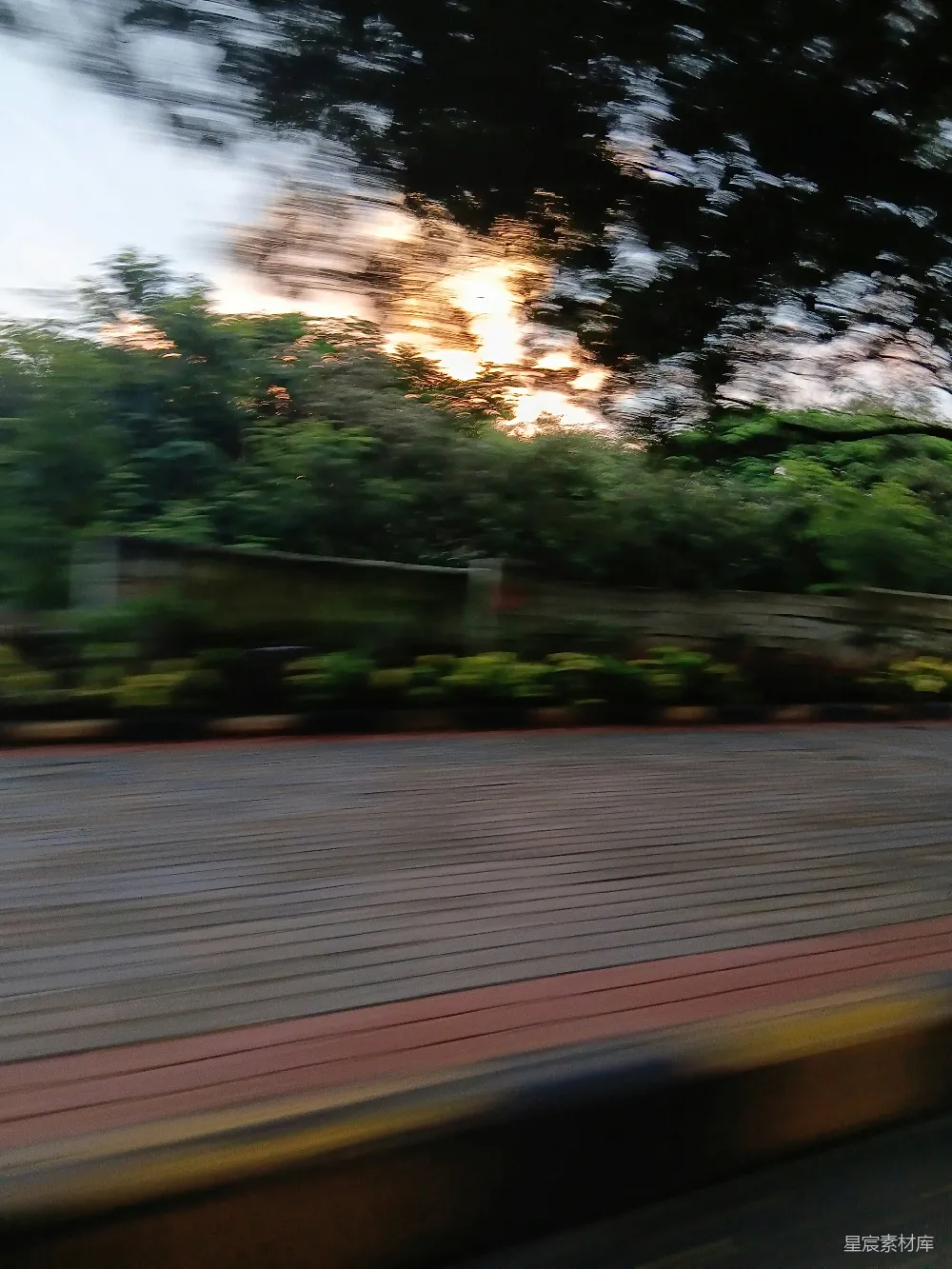 高清摄影 自然景观 夕阳 树木 动态模糊 户外 夕阳透过树林的瞬间