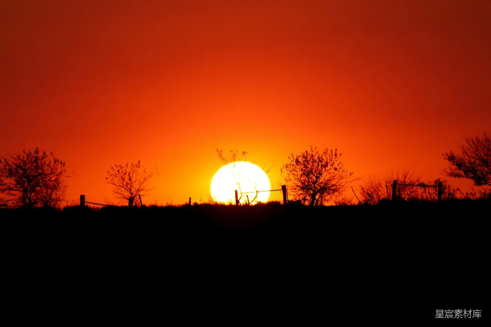 高清摄影 夕阳 田野 宁静 自然 风景 夕阳下的宁静田野