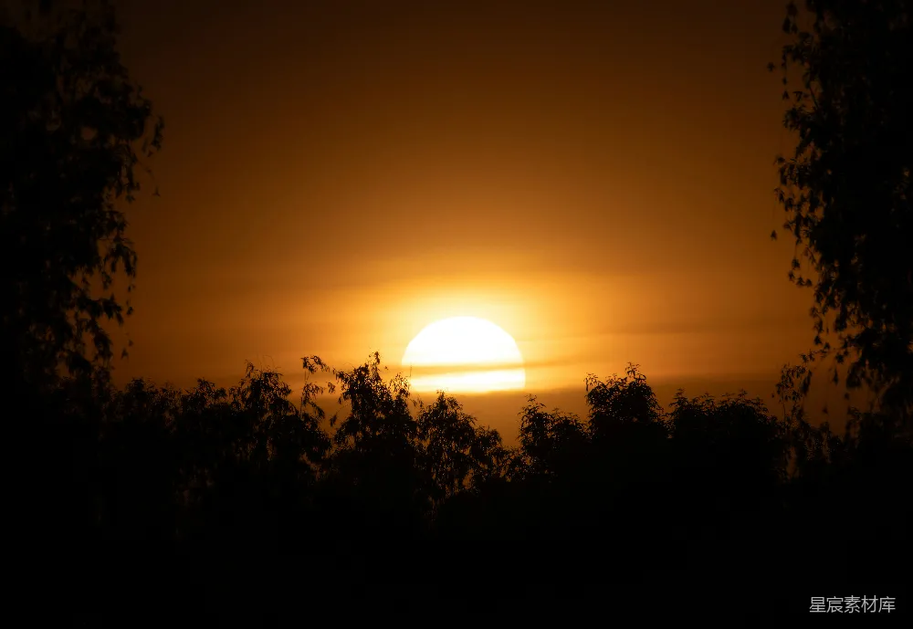 高清摄影 夕阳 自然风光 剪影 宁静 日落 夕阳西下，树影剪影