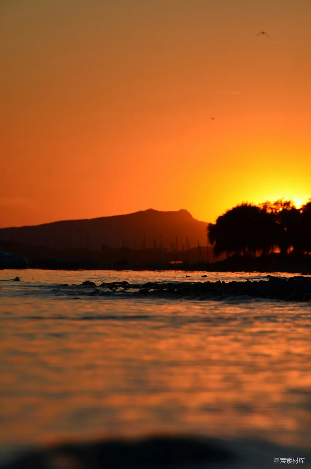 高清摄影 夕阳 海滩 宁静 自然风光 黄昏 夕阳余晖下的静谧海滩