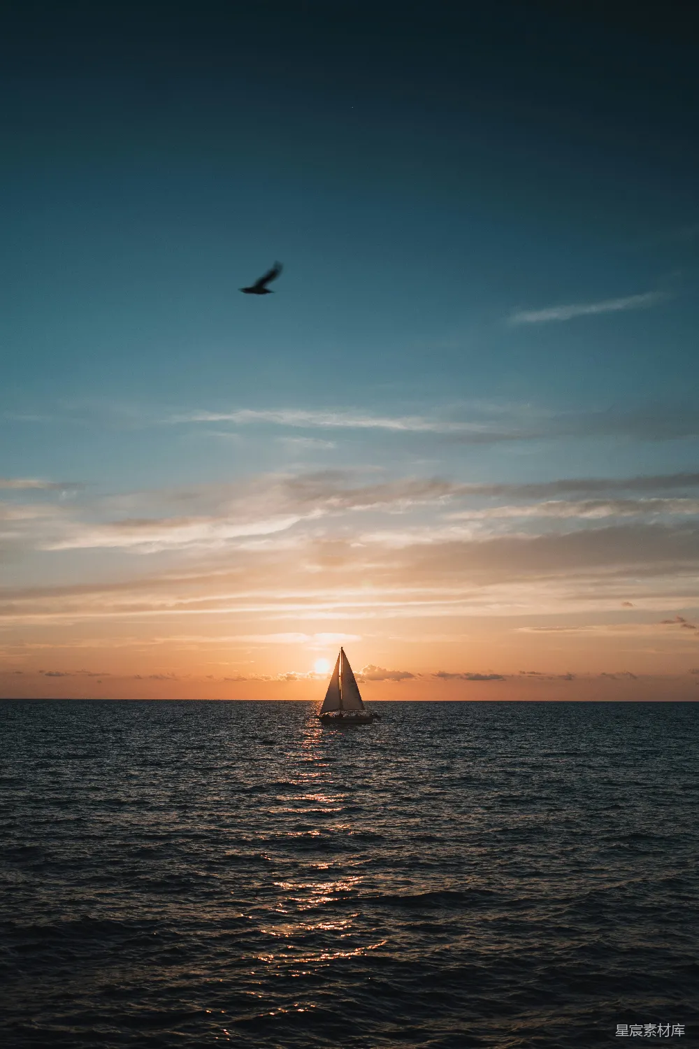 高清摄影 日落 帆船 自然风光 宁静 旅行 夕阳下的帆船剪影
