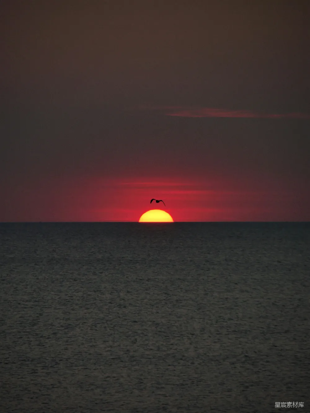高清摄影 日落 海景 鸟影 宁静 自然 海天一色，黄昏时的剪影