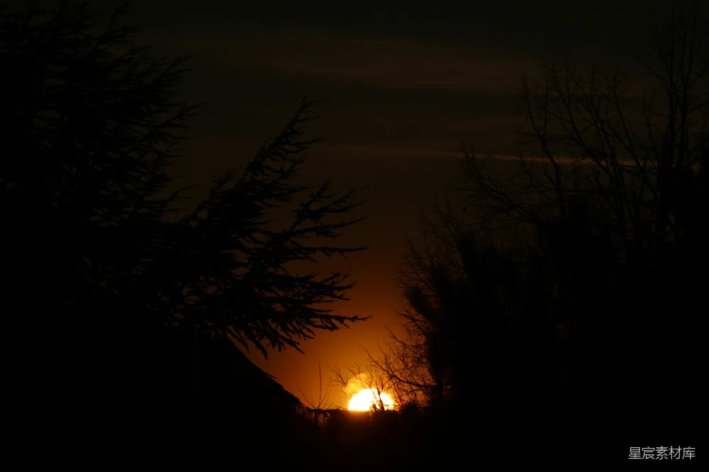 高清摄影 夕阳 剪影 自然 宁静 风景 夕阳西下，树木剪影