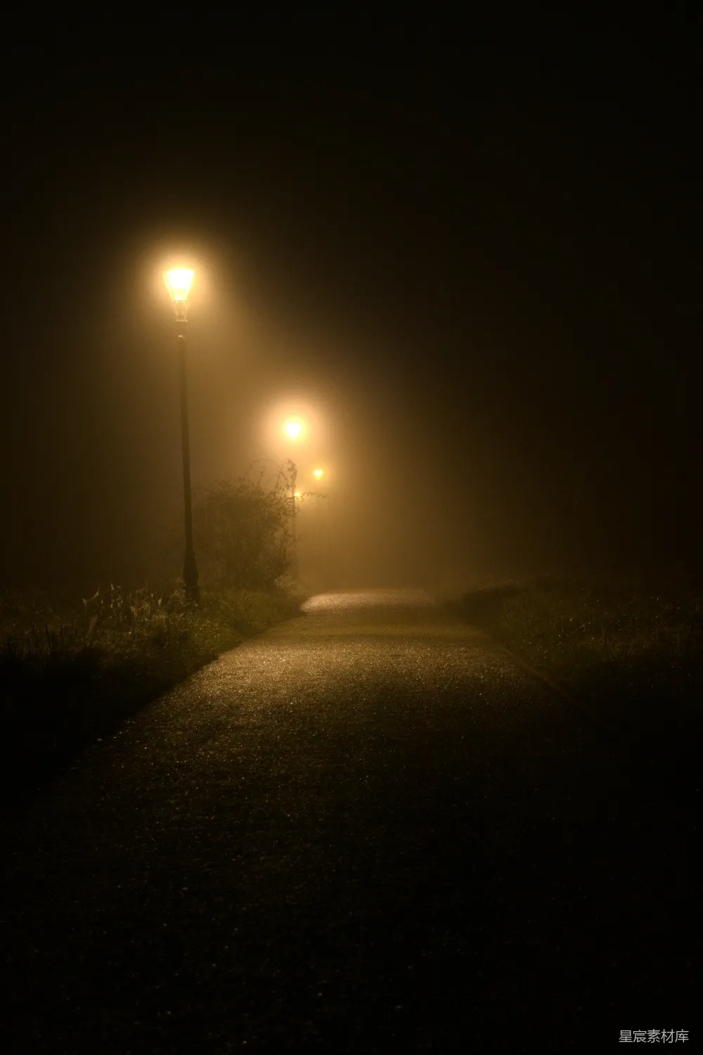 高清摄影 夜晚 路灯 雾气 宁静 氛围 雾夜中的路灯