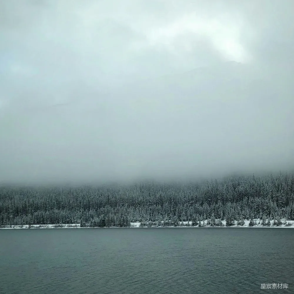 高清摄影 自然风光 冬季景色 宁静 湖景 雾气 雾中的湖畔森林