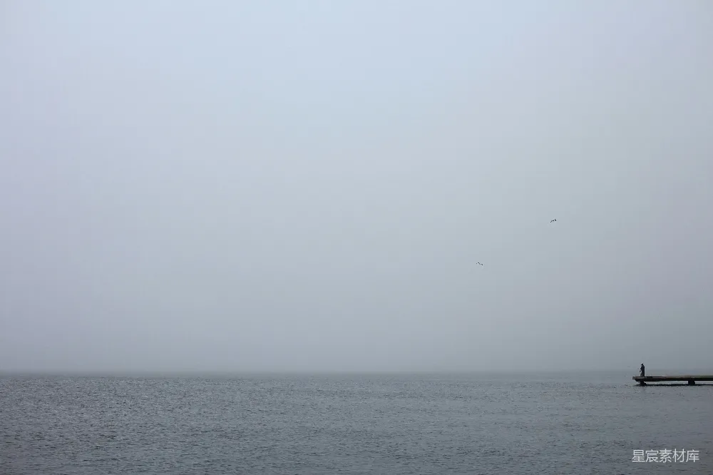 高清摄影 湖畔 雾景 宁静 孤独 自然 雾中的宁静湖边