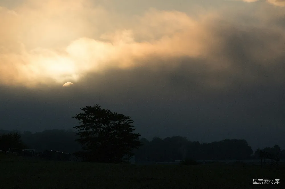 高清摄影 清晨 自然风光 雾气 风景 宁静 云雾缭绕的清晨