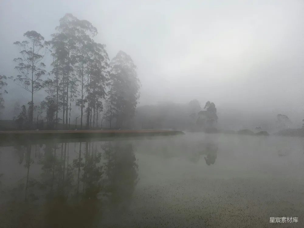 高清摄影 雾景 湖面 树木 宁静 自然 雾中静谧湖景