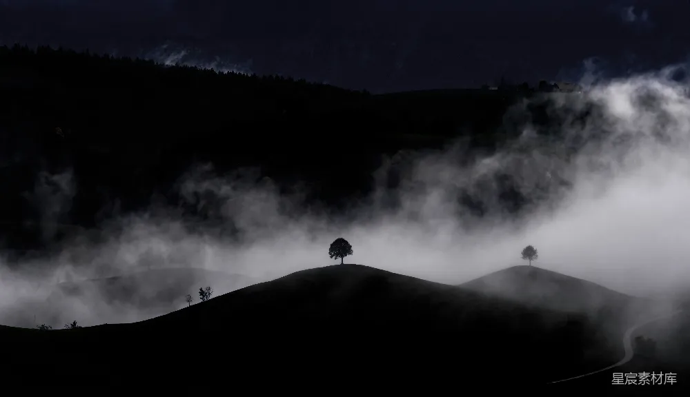 高清摄影 风景 夜晚 雾气 孤独 自然 雾夜山丘上的孤树