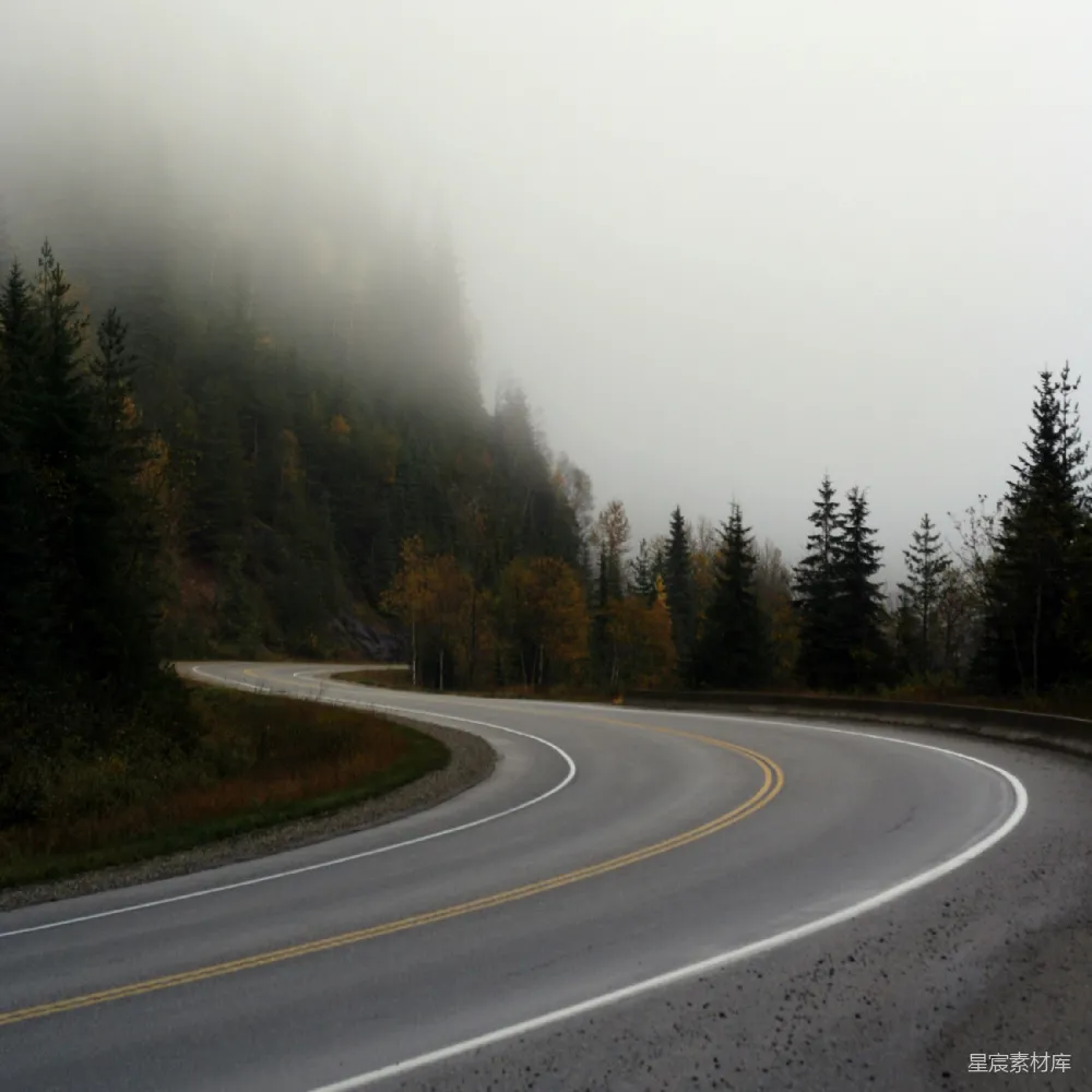 高清摄影 自然风景 道路 雾景 森林 宁静 雾中蜿蜒的山路