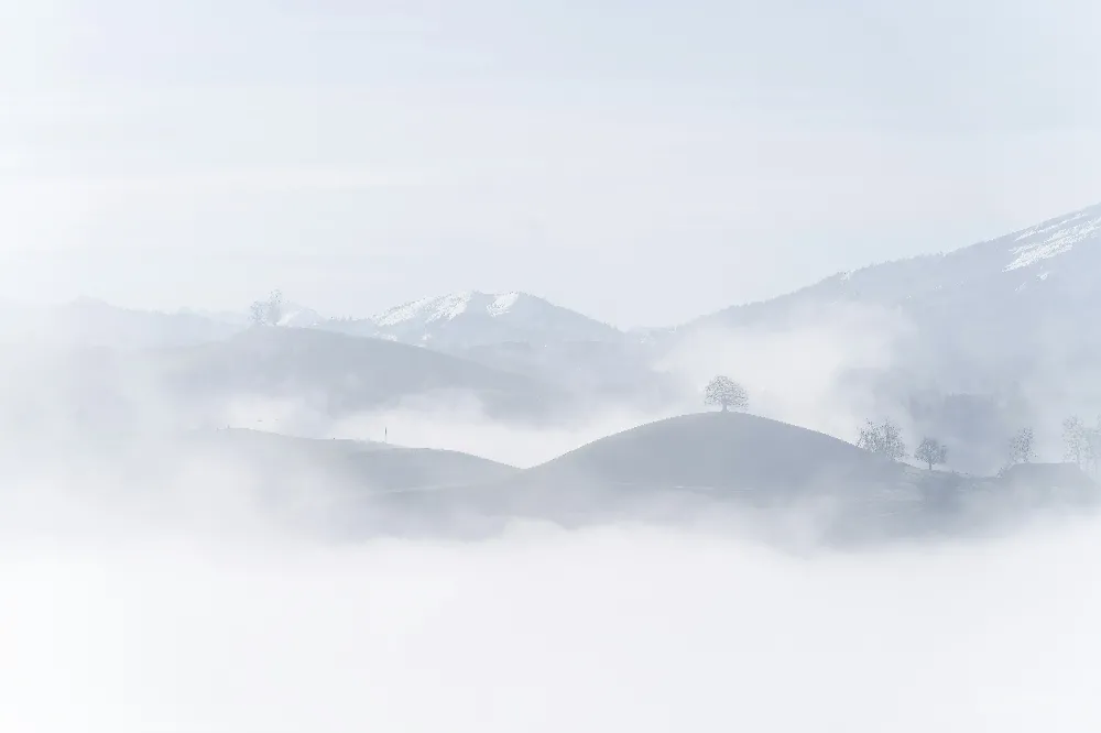 高清摄影 自然风光 山丘 雾景 宁静 风景 雾中的山丘与孤树