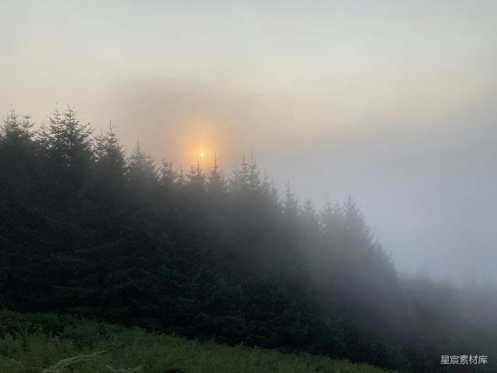 高清摄影 日晕 森林 雾景 自然风光 宁静 雾中森林的日晕