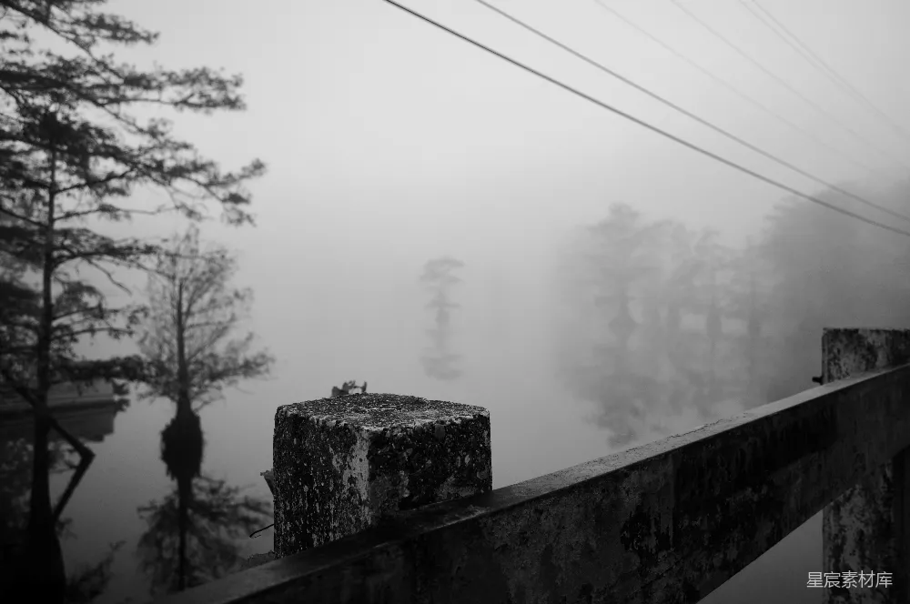 高清摄影 雾景 桥梁 自然 怀旧 阴郁 雾中静谧的桥