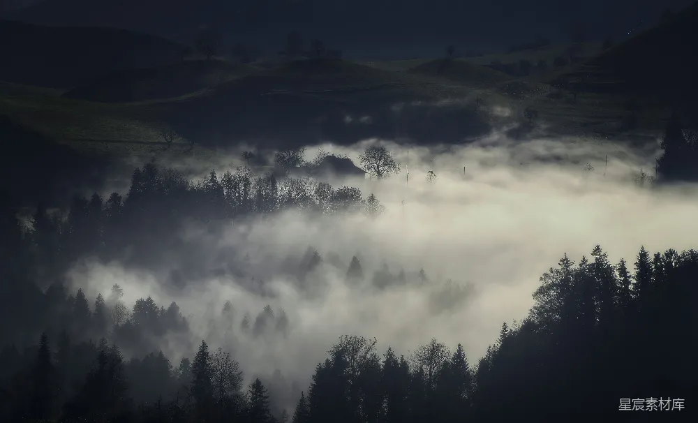高清摄影 晨雾 宁静 山谷 自然 风景 晨雾中的宁静山谷