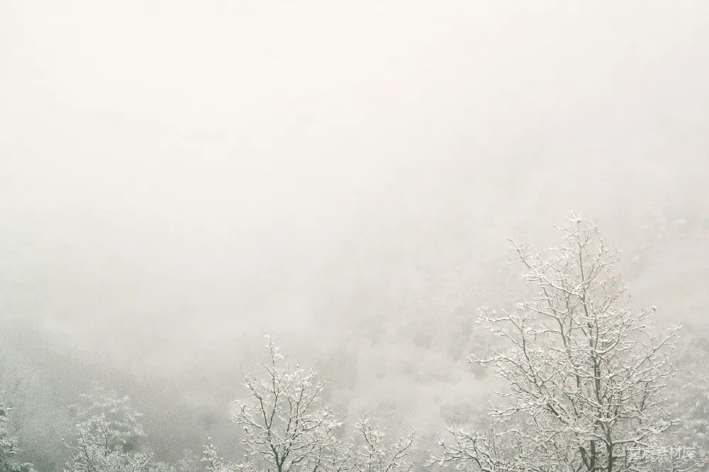 高清摄影 冬季 雾景 自然风光 雪景 宁静 雾中冬景