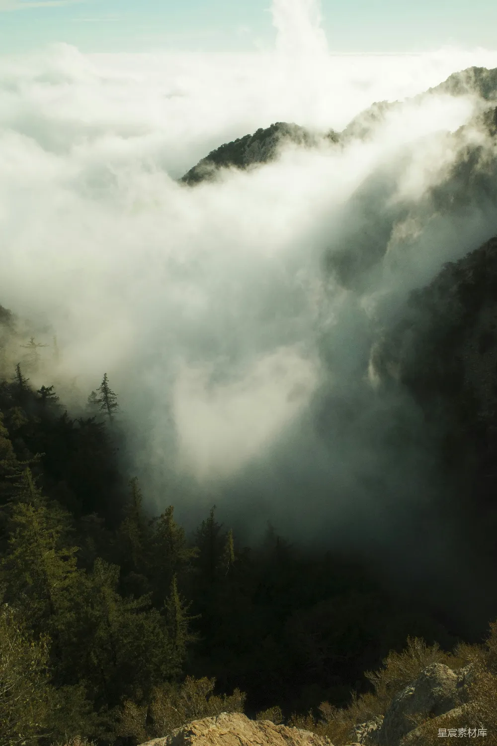 高清摄影 山景 自然 云雾 森林 宁静 云雾缭绕的山间森林