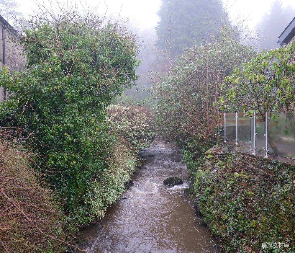 高清摄影 自然景观 雨景 溪流 乡村 宁静 雨中溪流