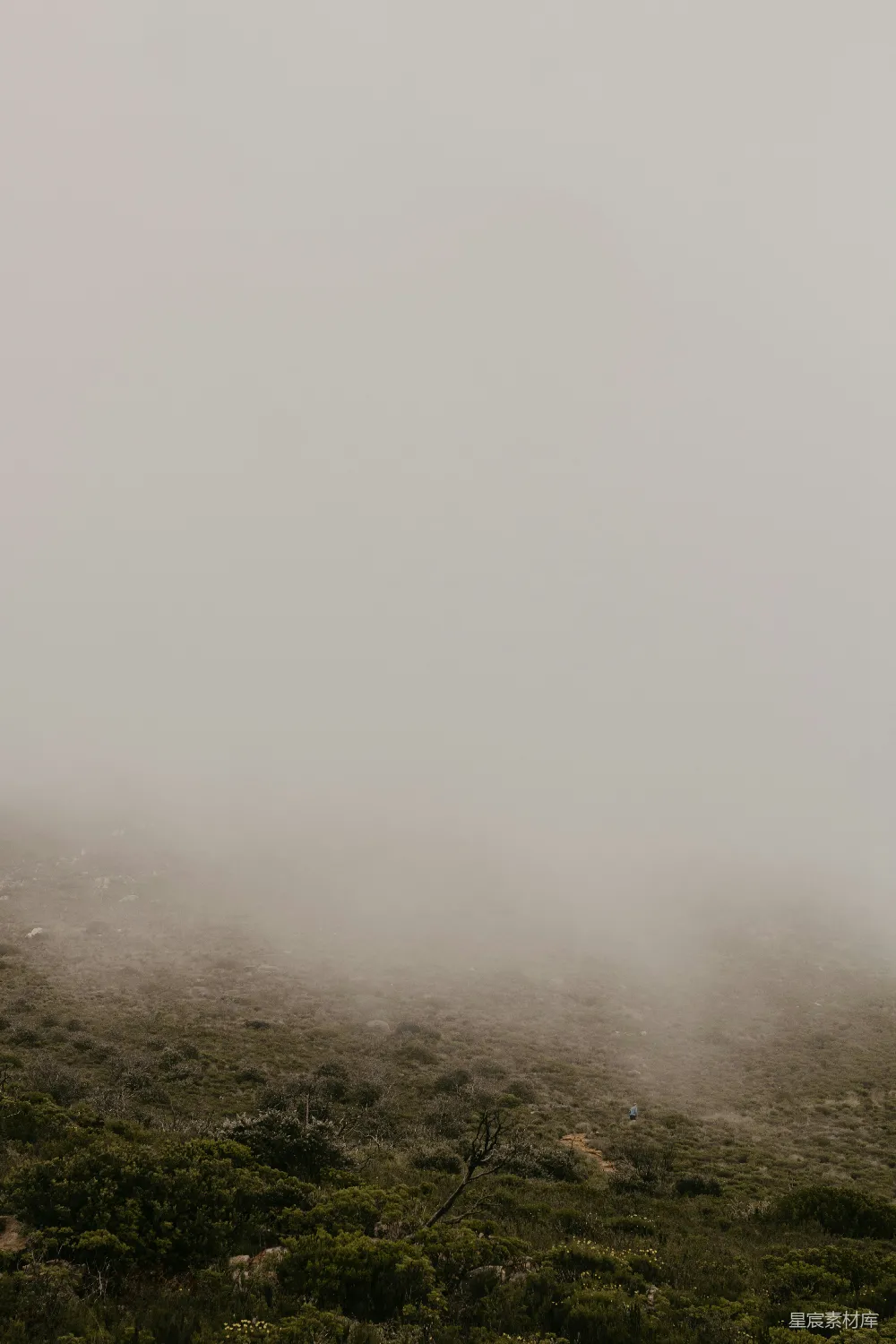 高清摄影 自然 旅行 孤独 风景 户外 雾中的孤独身影