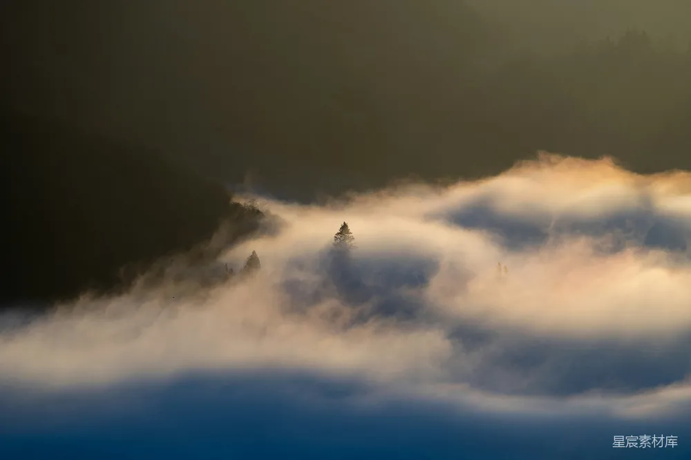高清摄影 自然风光 清晨 森林 雾气 宁静 晨雾中的森林
