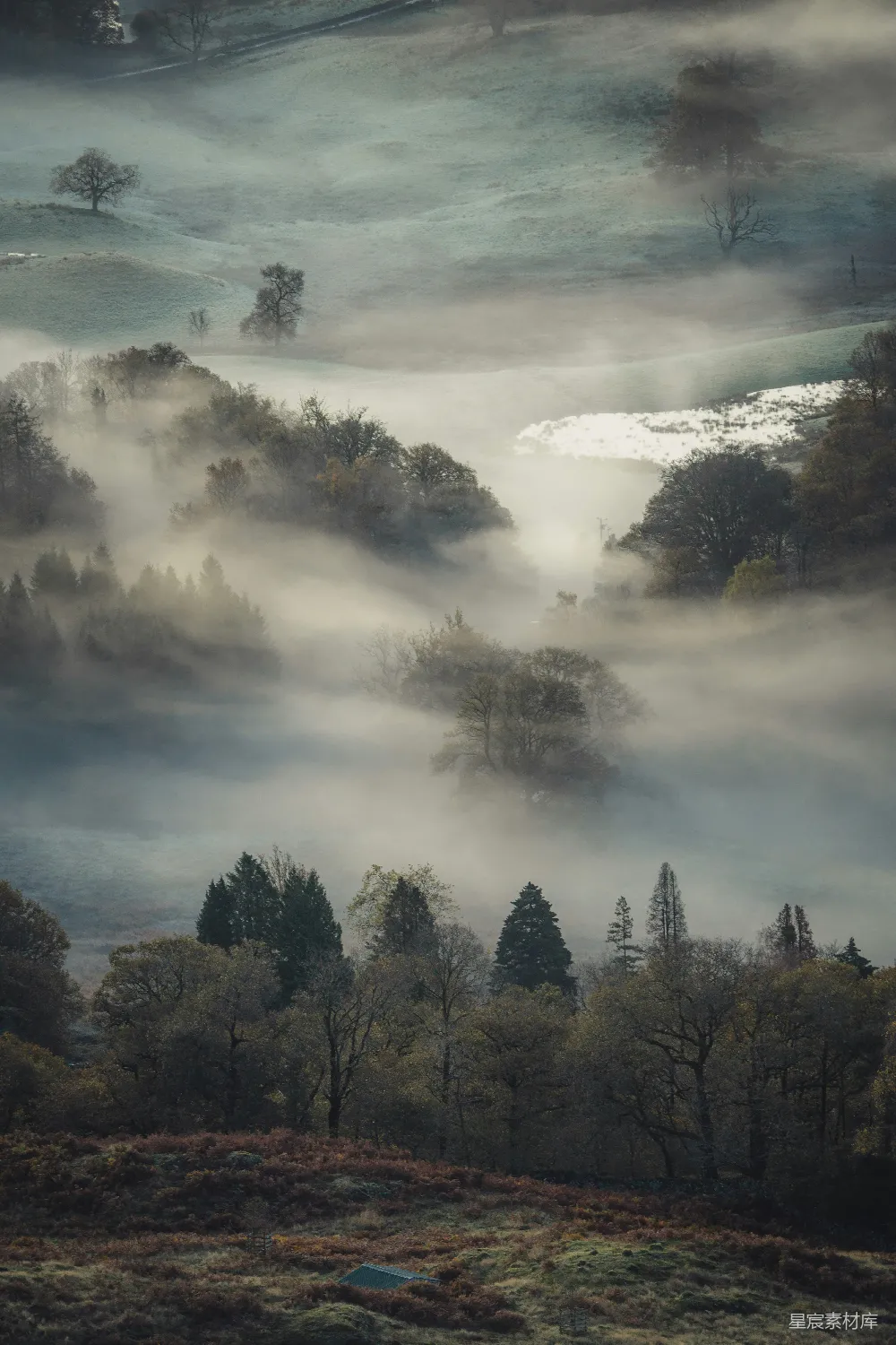 高清摄影 晨雾 山谷 自然风景 宁静 秋天 晨雾中的山谷