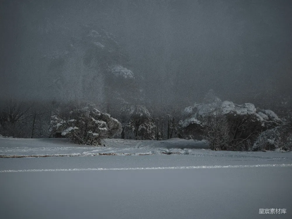 高清摄影 雪景 冬季 自然风光 宁静 户外 冬日雪景