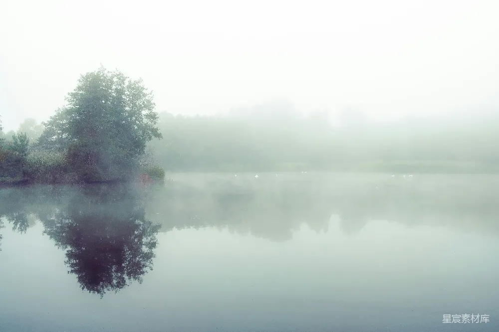 高清摄影 晨雾 湖景 宁静 自然 风景 晨雾中的宁静湖景