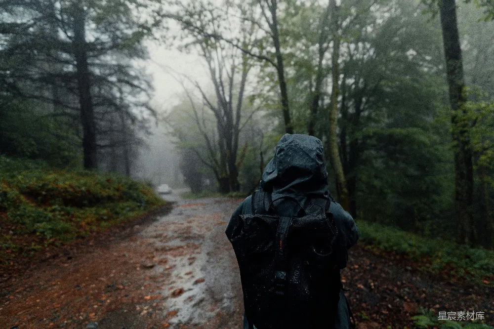 高清摄影 森林 雨天 孤独 旅行 自然 雨中森林的孤独旅人