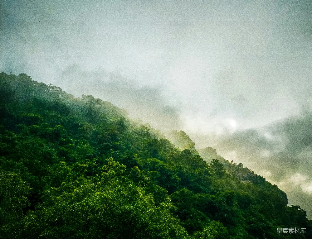 高清摄影 自然风光 山林 清晨 宁静 户外 雾中青山