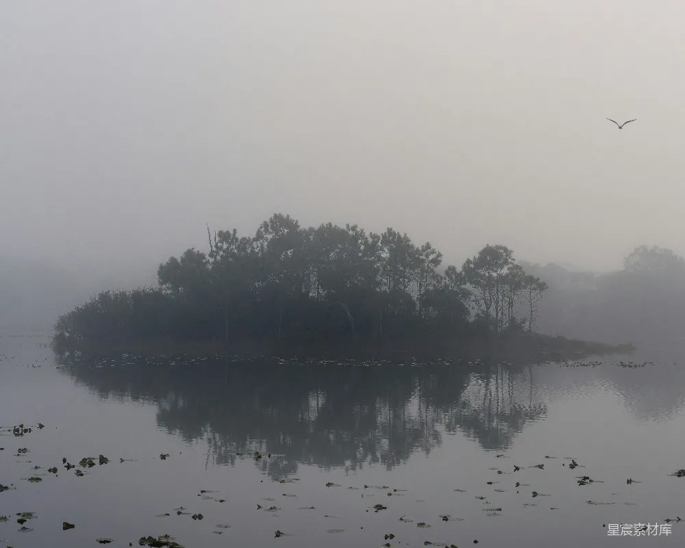 高清摄影 自然 宁静 雾景 湖泊 自然风光 雾中的宁静小岛
