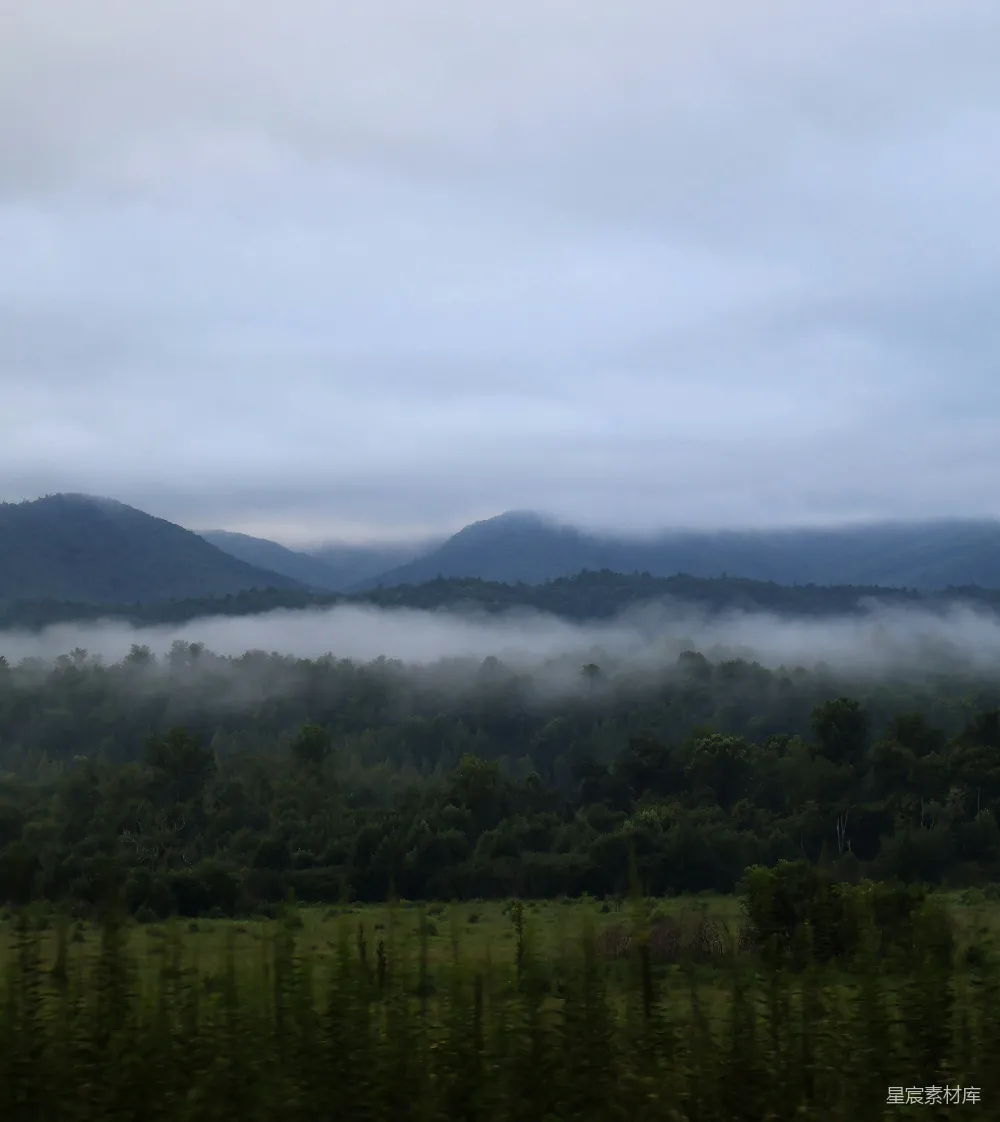 高清摄影 自然风光 晨雾 山脉 森林 宁静 雾绕山峦