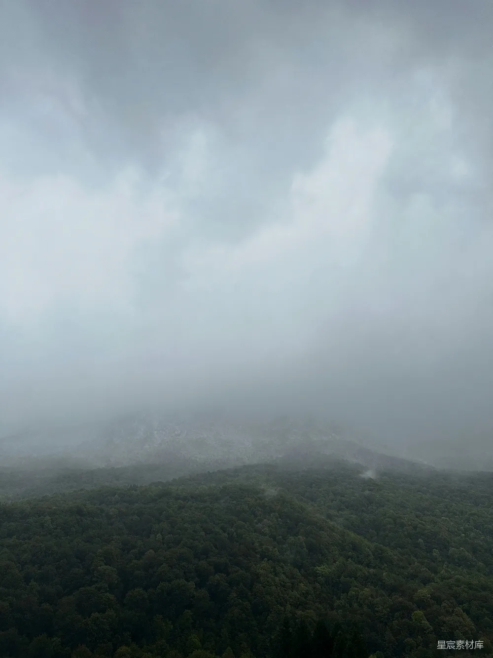 高清摄影 自然风光 森林 雾气 宁静 风景 雾中森林