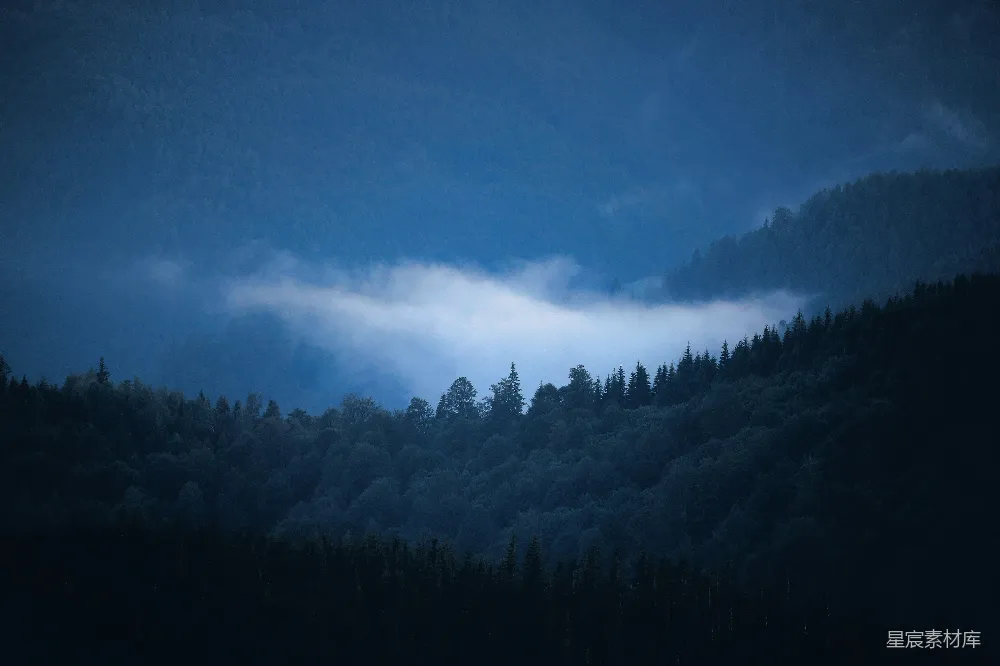 高清摄影 森林 雾气 清晨 宁静 自然 山间薄雾