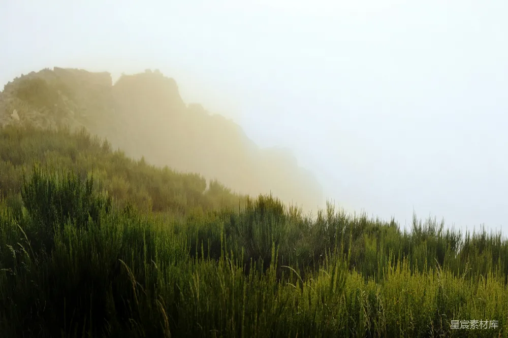 高清摄影 自然风景 清晨 山脉 宁静 户外 雾中的山峰