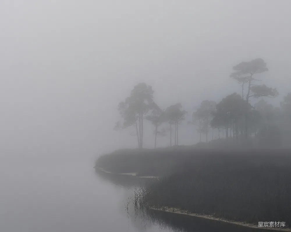 高清摄影 雾气 自然风光 宁静 湖边 树木 雾中的宁静湖岸